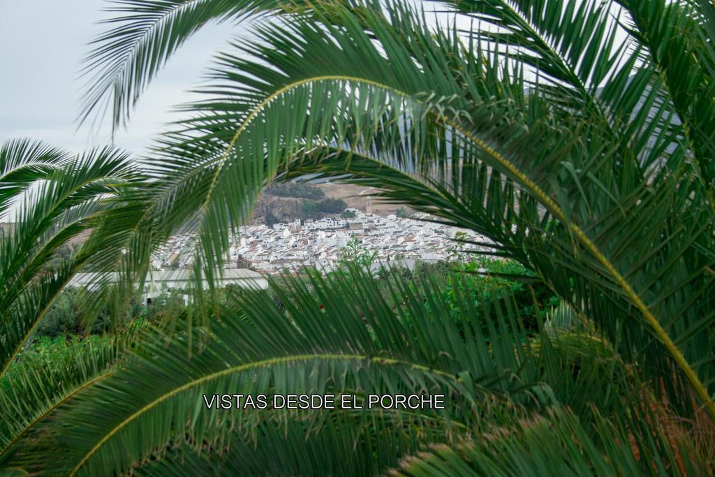 Finca Villa Rey Ardales Dış mekan fotoğraf