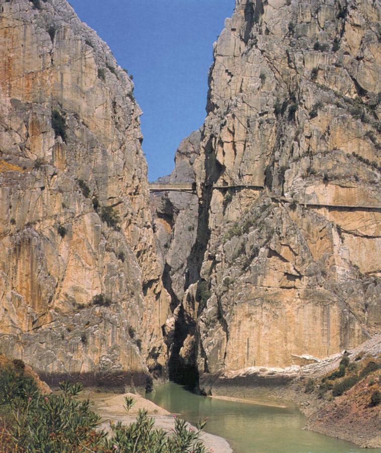 Finca Villa Rey Ardales Dış mekan fotoğraf